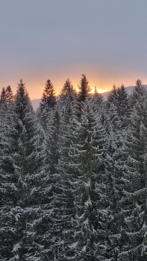 Charming Family Condo In Silver Mountain Poiana Brasov Bagian luar foto